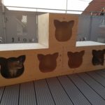 Holzhöhlen für Katzen
