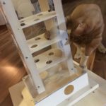 intelligenzturm-fummelspiel-fuer-katzen-katzenspiel
