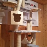 kratzbaum-gross-liegemulde-holzhoehle-pluesch