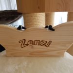 Namensschild für Katzen
