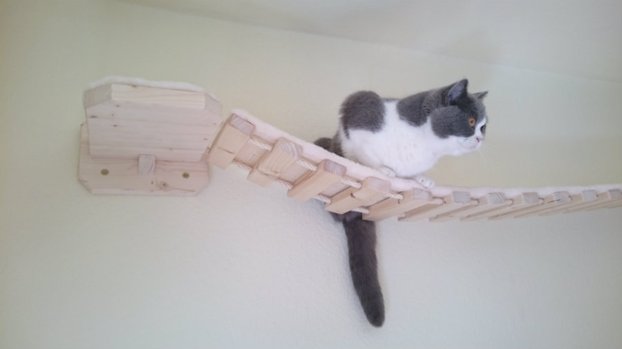 Haustierleiter Aus Apfelholz - 30cm Hängebrücke Für Hamster & Papageien - Gleichgewichtstraining