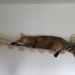 Catwalk Hängebrücke