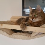 Katzenlandschaft massiv Katze Körbchen Edelplüsch