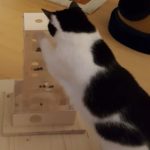 Leckerlieturm für Katzen