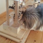 Fummelturm für Leckerlies