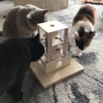 Intelligenzturm für Katzen
