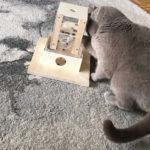 Fummelturm für Katzen