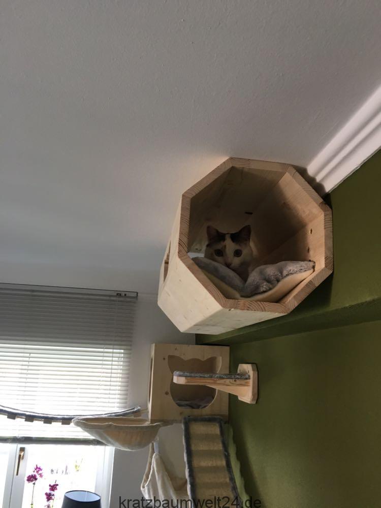 Tunnel für Katzen