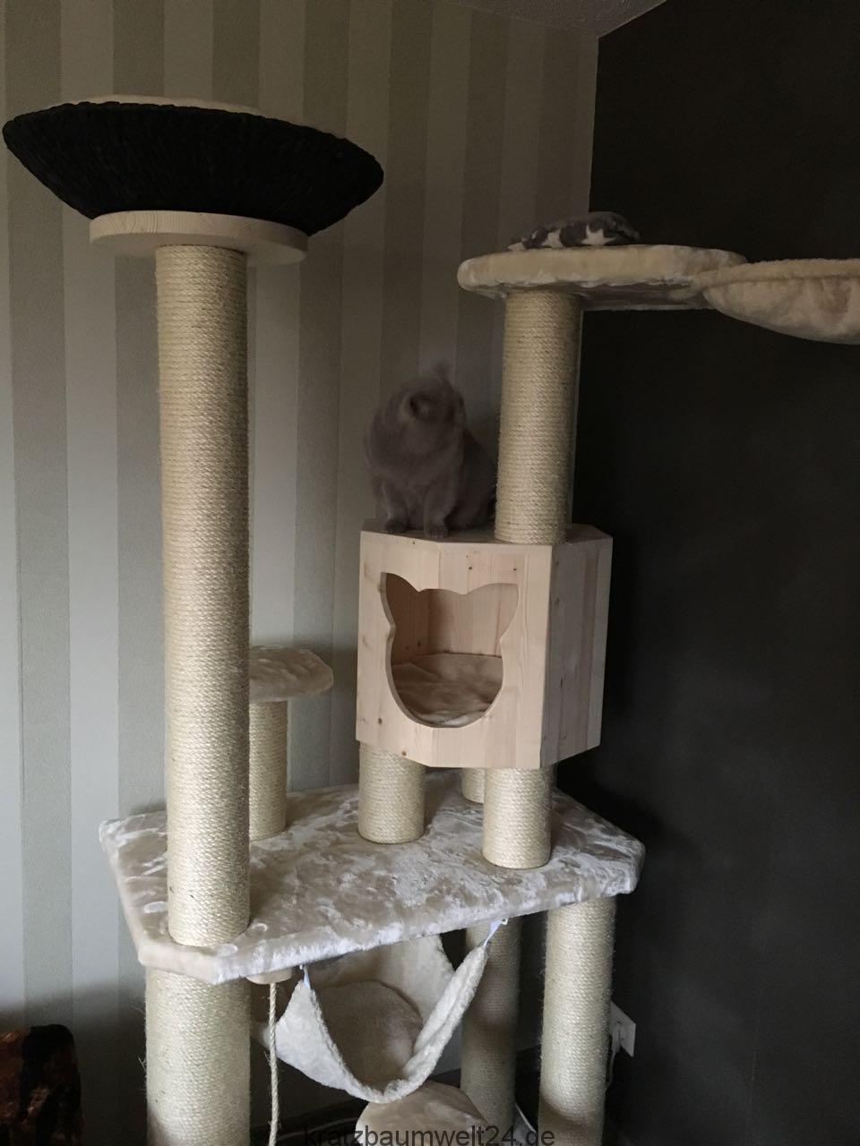 cube stereo hybrid 140 hpc pro 625 Cube Stereo Hybrid 140 HPC Pro 625 – Fly Rides USA main image 1