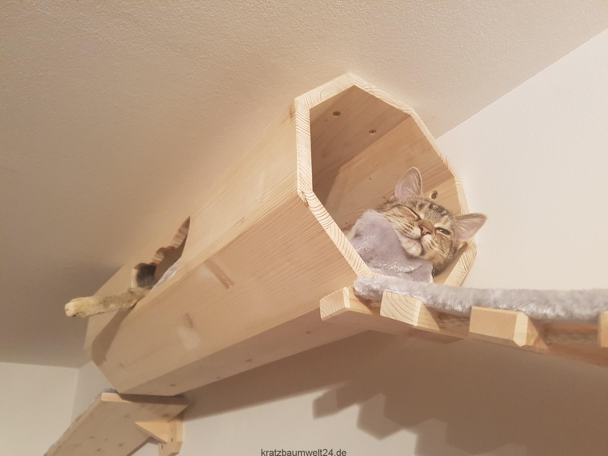 Rolle aus Holz mit Kissen für Katzen