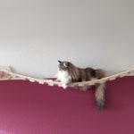 Wandhalterung mit Hängematte für Katzen