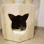 Holzhöhle für Katzen 