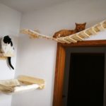 Wandkratzbaum für Katzen
