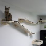 Wandkratzbaum für Katzen mit Hängebrücke