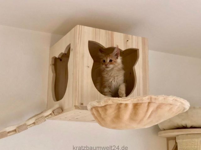 Höhle für Katzen