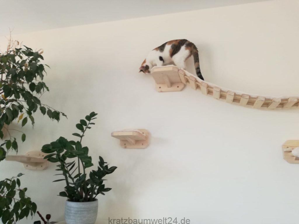 Wandelemente für Katzen Kratzbaum selber bauen Kratzbaum für die Wand stabiler Kratzbaum