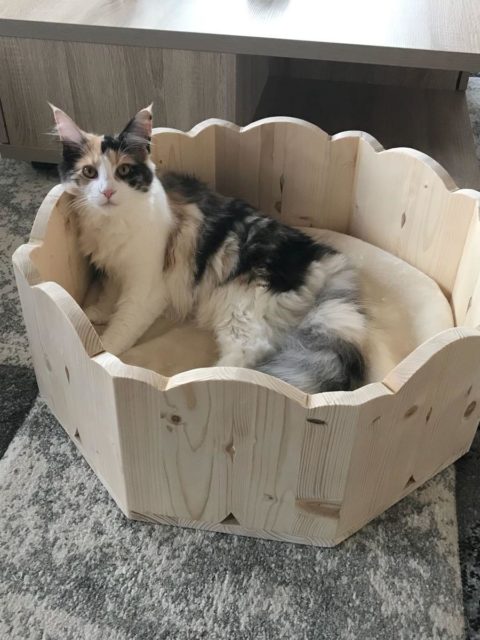 Holzbettchen für Katzen