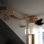 Auf welche Kauffaktoren Sie zuhause vor dem Kauf bei Katzenbaum wandmontage achten sollten!