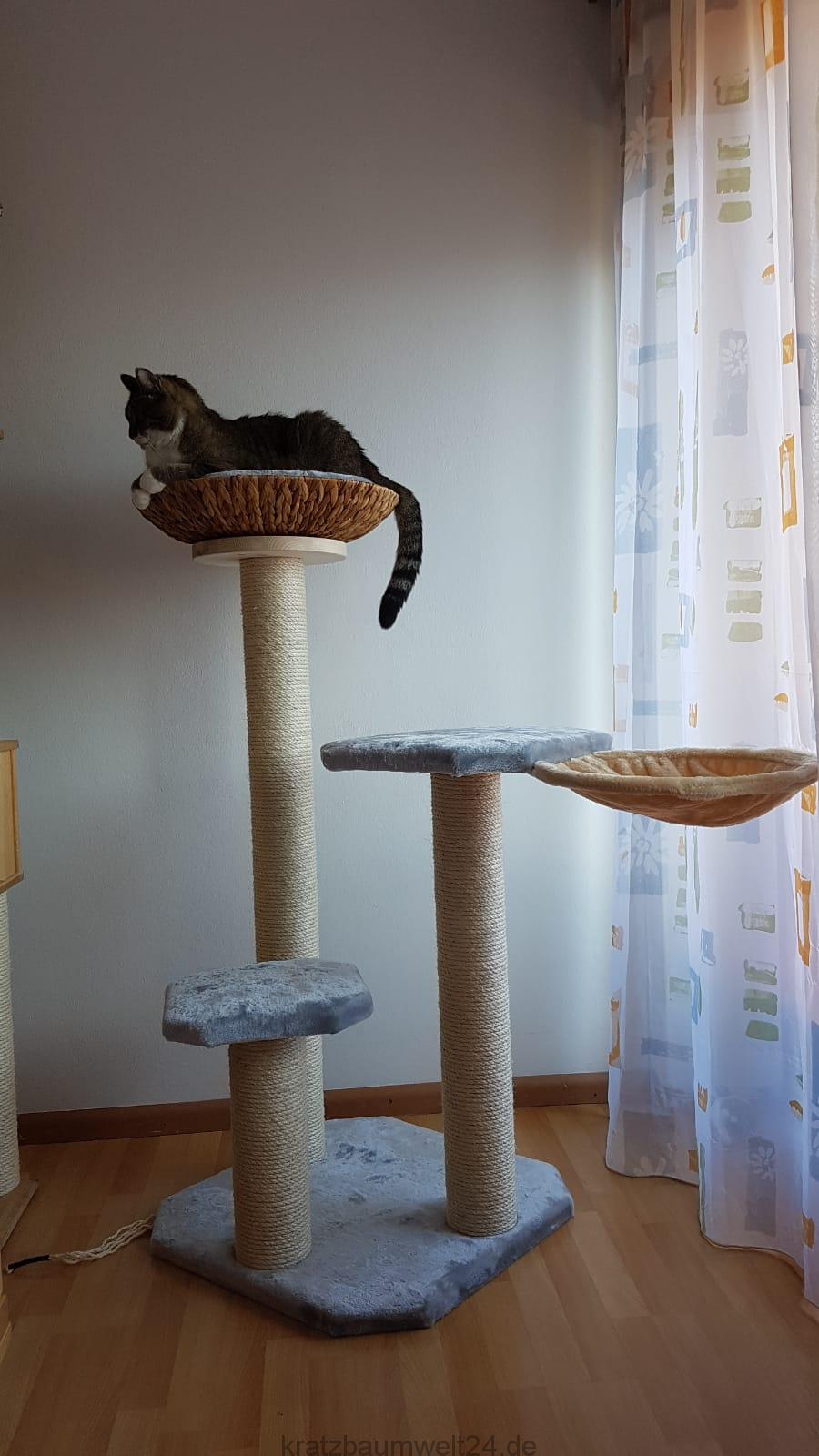 Kratzbaum gross Liegemulde für Katzen Massivkratzbaum exklusive ... - Kratzbaum Gross LiegemulDe F%C3%BCr Katzen Massivkratzbaum Exklusive Katzenm%C3%B6bel Kratzbaumwelt24