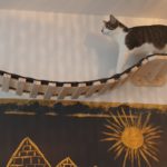 Hängebrücke für Katzen