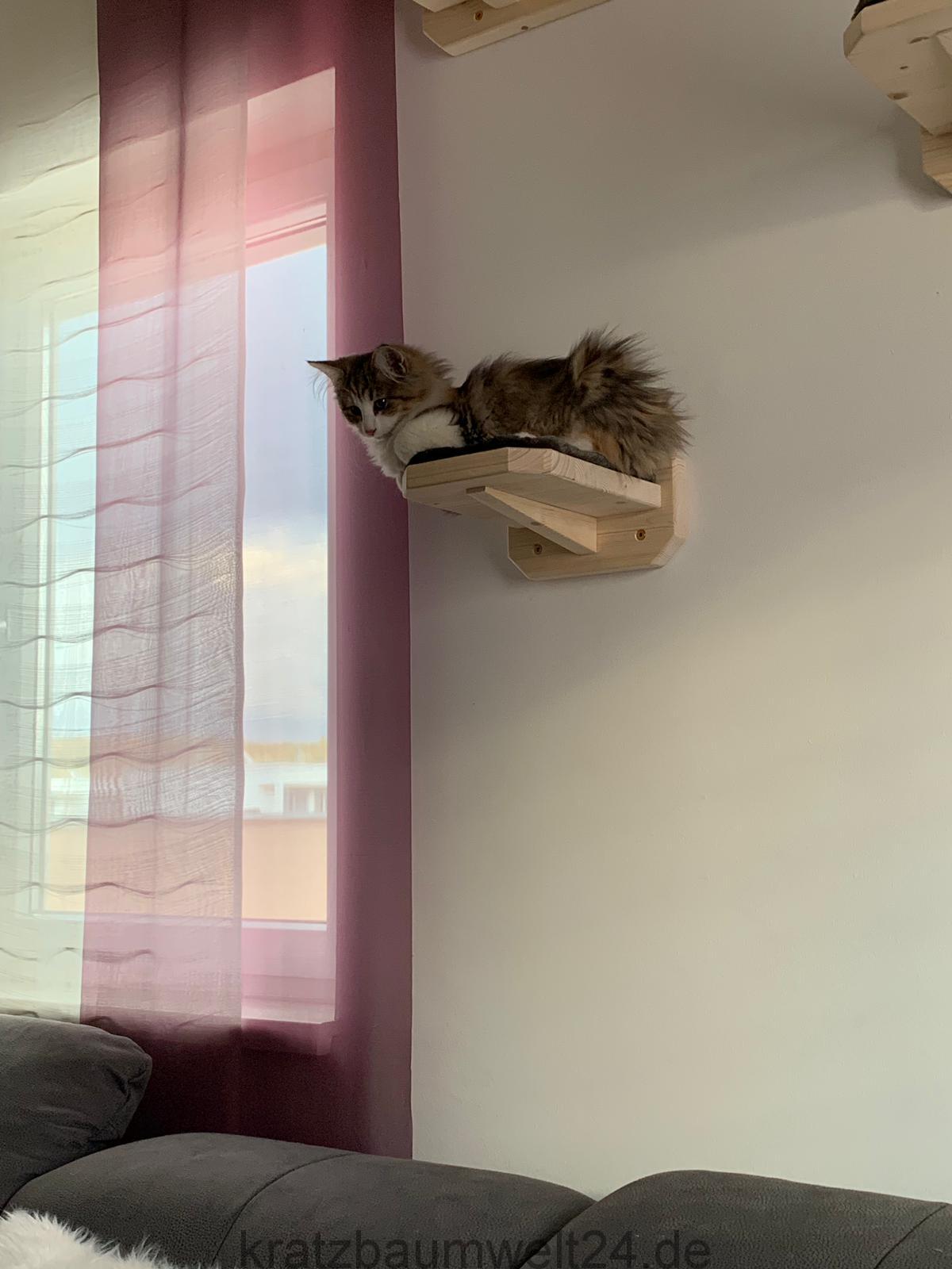 Aufstieg Stufe für Katzen Wandkratzbaum Liegefläche für Katzen ... - Aufstieg Stufe F%C3%BCr Katzen WanDkratzbaum Liegefl%C3%A4che F%C3%BCr Katzen Katzenm%C3%B6bel InDiviDuell Gefertigt Aufstieg Stufe für Katzen Wandkratzbaum Liegefläche für Katzen ... - Aufstieg Stufe F%C3%BCr Katzen WanDkratzbaum Liegefl%C3%A4che F%C3%BCr Katzen Katzenm%C3%B6bel InDiviDuell Gefertigt