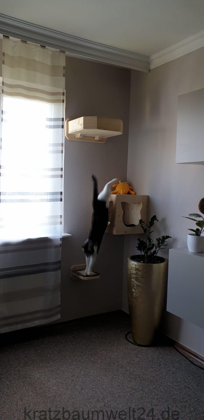 Eckhalterung für Katzen Katzenbett mit Wandmontage Kletterwand für ... - Eckhalterung F%C3%BCr Katzen Katzenbett Mit WanDmontage KletterwanD F%C3%BCr Katzen WanDkratzbaum Katzenm%C3%B6bel Auf Wunsch Eckhalterung für Katzen Katzenbett mit Wandmontage Kletterwand für ... - Eckhalterung F%C3%BCr Katzen Katzenbett Mit WanDmontage KletterwanD F%C3%BCr Katzen WanDkratzbaum Katzenm%C3%B6bel Auf Wunsch