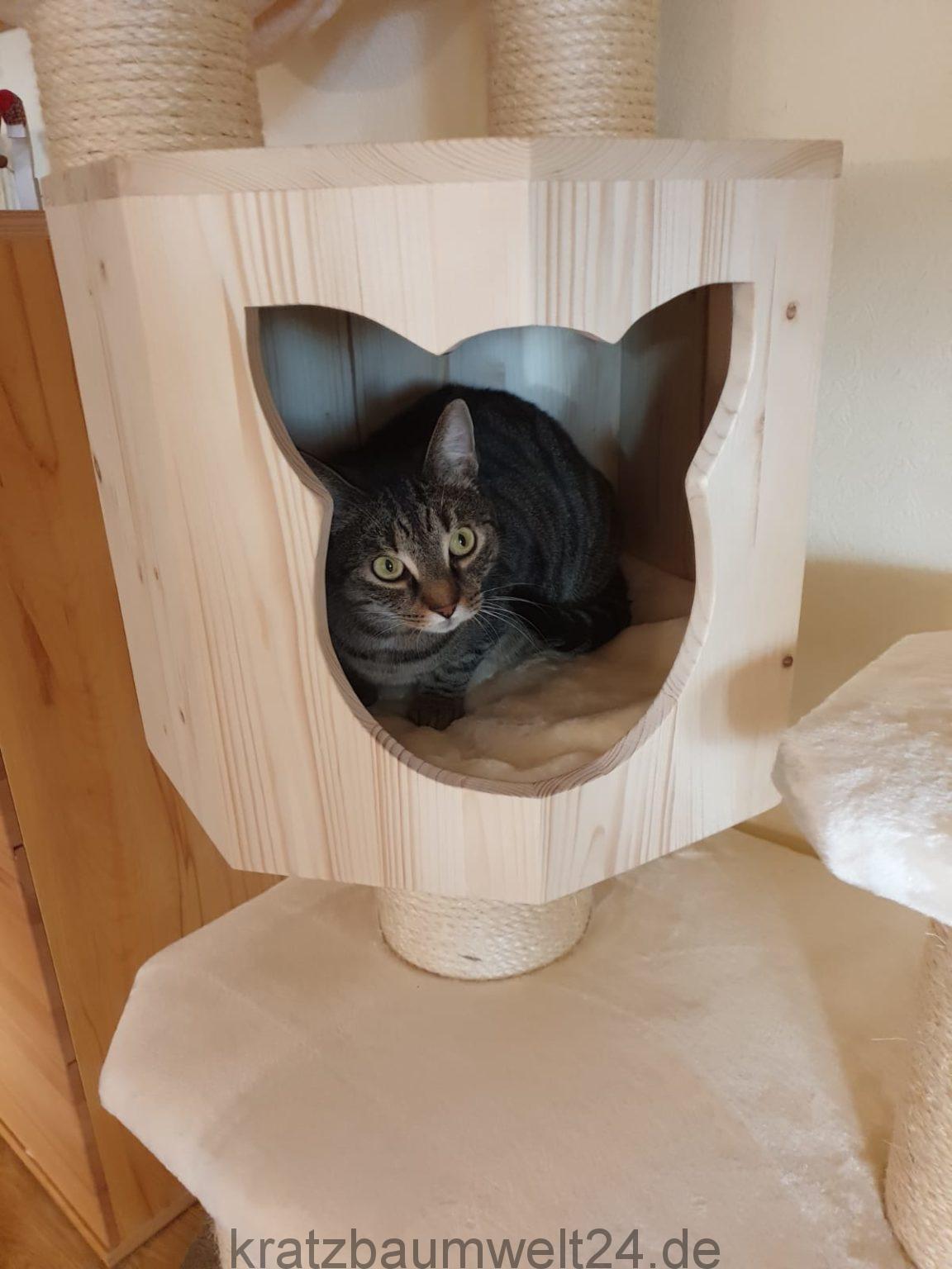 Höhle aus Holz für Katzen Individuelle Katzenmöbel Kratzbaum mit Höhle ... - H%C3%B6hle Aus Holz F%C3%BCr Katzen InDiviDuelle Katzenm%C3%B6bel Kratzbaum Mit H%C3%B6hle Liegekorb F%C3%BCr Katzen Kissen F%C3%BCr Katzen Spielseil 1152x1536 Höhle aus Holz für Katzen Individuelle Katzenmöbel Kratzbaum mit Höhle ... - H%C3%B6hle Aus Holz F%C3%BCr Katzen InDiviDuelle Katzenm%C3%B6bel Kratzbaum Mit H%C3%B6hle Liegekorb F%C3%BCr Katzen Kissen F%C3%BCr Katzen Spielseil 1152x1536