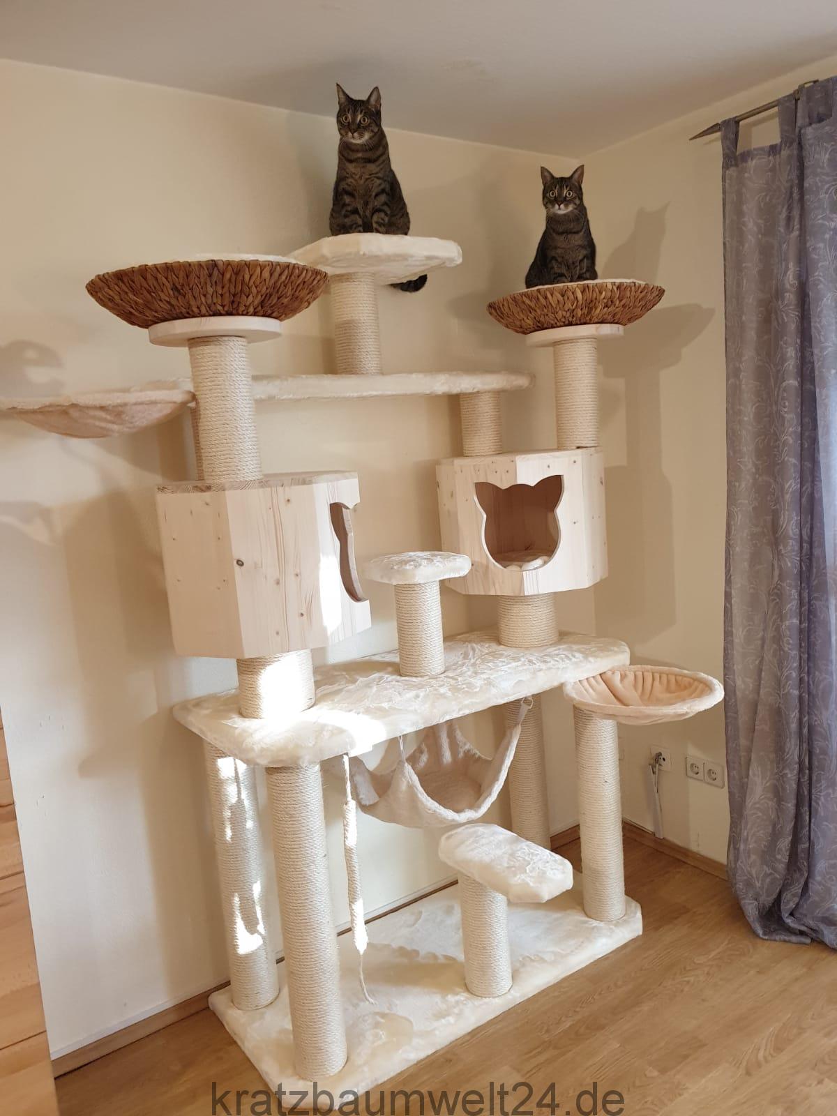 Katzenmöbel auf Wunsch Kratzbaum direkt vom Hersteller ... - Katzenm%C3%B6bel Auf Wunsch Kratzbaum Direkt Vom Hersteller SonDeranfertigungen F%C3%BCr Katzen H%C3%B6hlen Aus Holz NaturproDukte F%C3%BCr Katzen