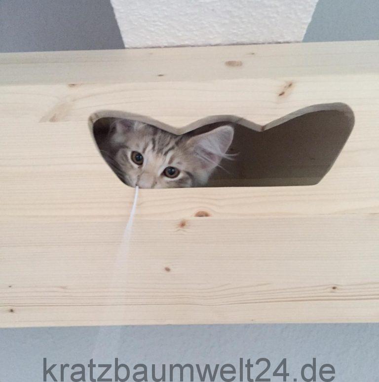 Katzentunnel Höhle für Deckenmontage Katzenmöbel Main Coon Holzmöbel ... - Katzentunnel H%C3%B6hle F%C3%BCr Deckenmontage Katzenm%C3%B6bel Main Coon Holzm%C3%B6bel F%C3%BCr Katzen 768x775 Katzentunnel Höhle für Deckenmontage Katzenmöbel Main Coon Holzmöbel ... - Katzentunnel H%C3%B6hle F%C3%BCr Deckenmontage Katzenm%C3%B6bel Main Coon Holzm%C3%B6bel F%C3%BCr Katzen 768x775