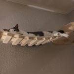 Kletterwand für Katzen
