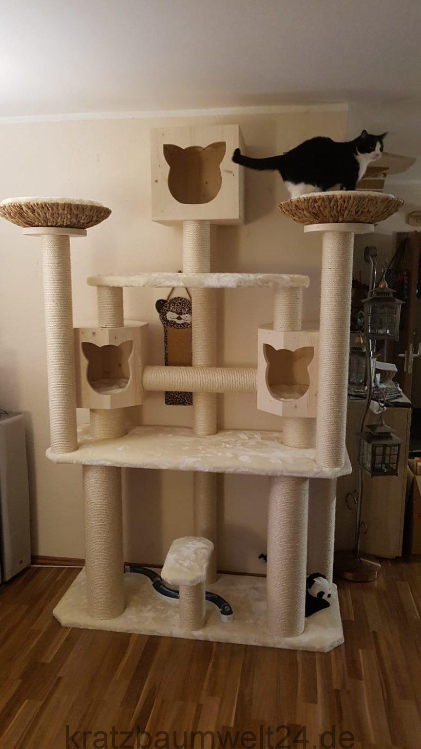 Kratzbaum Sonderanfertigung, Kratzbaum Mega, Kratzbaum mit XXL Stamm ...