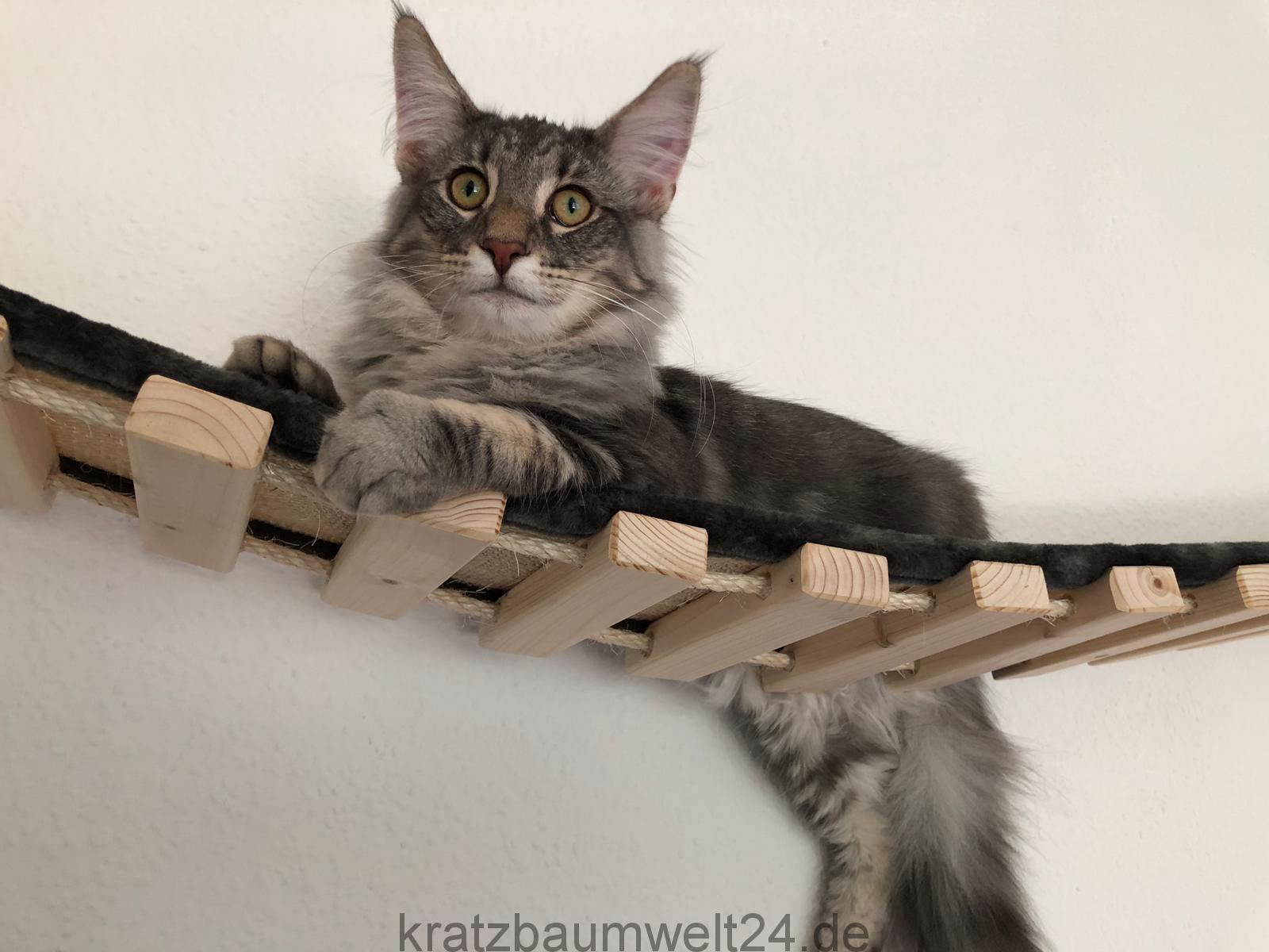 Laufsteg Catwalk Hängebrücke für Katzen Wandkratzbaum Main Coon ... - Laufsteg Catwalk H%C3%A4ngebr%C3%BCcke F%C3%BCr Katzen WanDkratzbaum Main Coon Kratzbaumwelt24 Exklusive Katzenm%C3%B6bel