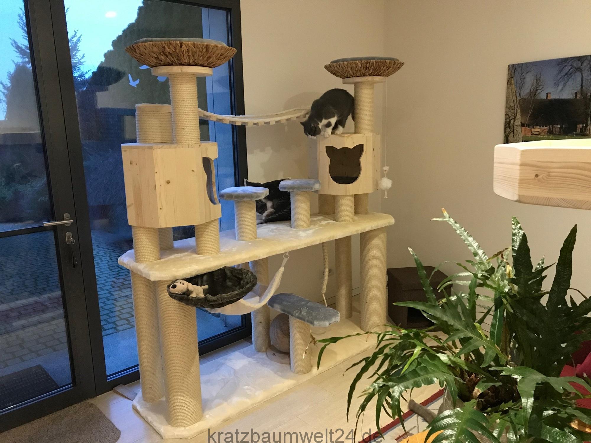 31+ Kratzbaum Für Den Garten, Sie sind für den geschützten