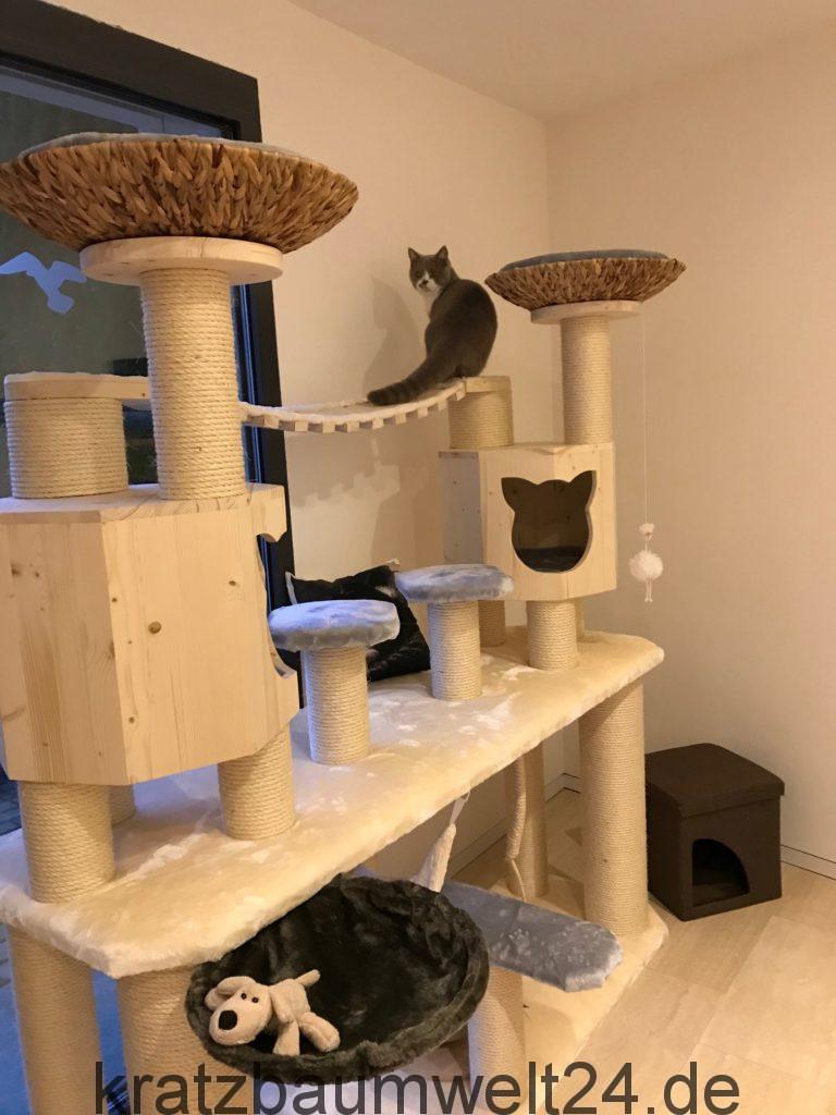 Kratzbaum modern Katzenmöbel exklusiv Kratzbaum günstig Kratzbaum Shop ... - Kratzbaum MoDern Katzenm%C3%B6bel Exklusiv Kratzbaum G%C3%BCnstig Kratzbaum Shop H%C3%A4ngebr%C3%BCcke F%C3%BCr Katzen H%C3%B6hlen F%C3%BCr Katzen 768x1024