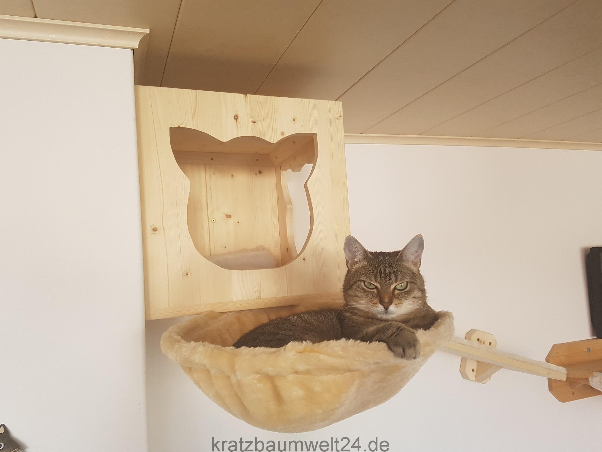 Kletterlandschaft für Katzen Wandkratzbaum Wandkratzbaumsystem für ... - KletterlanDschaft F%C3%BCr Katzen WanDkratzbaum WanDkratzbaumsystem F%C3%BCr Katzen Katzenm%C3%B6bel LiegemulDe F%C3%BCr Katzen Ersatzstamm H%C3%B6hle F%C3%BCr Katzen Kratzbaumwelt24 Kletterlandschaft für Katzen Wandkratzbaum Wandkratzbaumsystem für ... - KletterlanDschaft F%C3%BCr Katzen WanDkratzbaum WanDkratzbaumsystem F%C3%BCr Katzen Katzenm%C3%B6bel LiegemulDe F%C3%BCr Katzen Ersatzstamm H%C3%B6hle F%C3%BCr Katzen Kratzbaumwelt24
