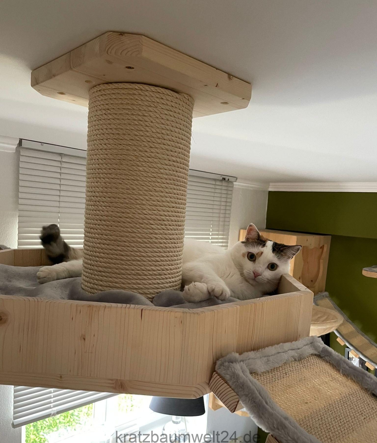 Deckenufo Katzenbett für Deckenmontage, Hängebrücke für Katzen ... - Deckenufo Katzenbett Fuer Deckenmontage Haengebruecke Fuer Katzen Klettersysteme Frei Gestaltbar Stabile Katzenmoebel Aus Holz Katzenhoehle Deckenufo Katzenbett für Deckenmontage, Hängebrücke für Katzen ... - Deckenufo Katzenbett Fuer Deckenmontage Haengebruecke Fuer Katzen Klettersysteme Frei Gestaltbar Stabile Katzenmoebel Aus Holz Katzenhoehle