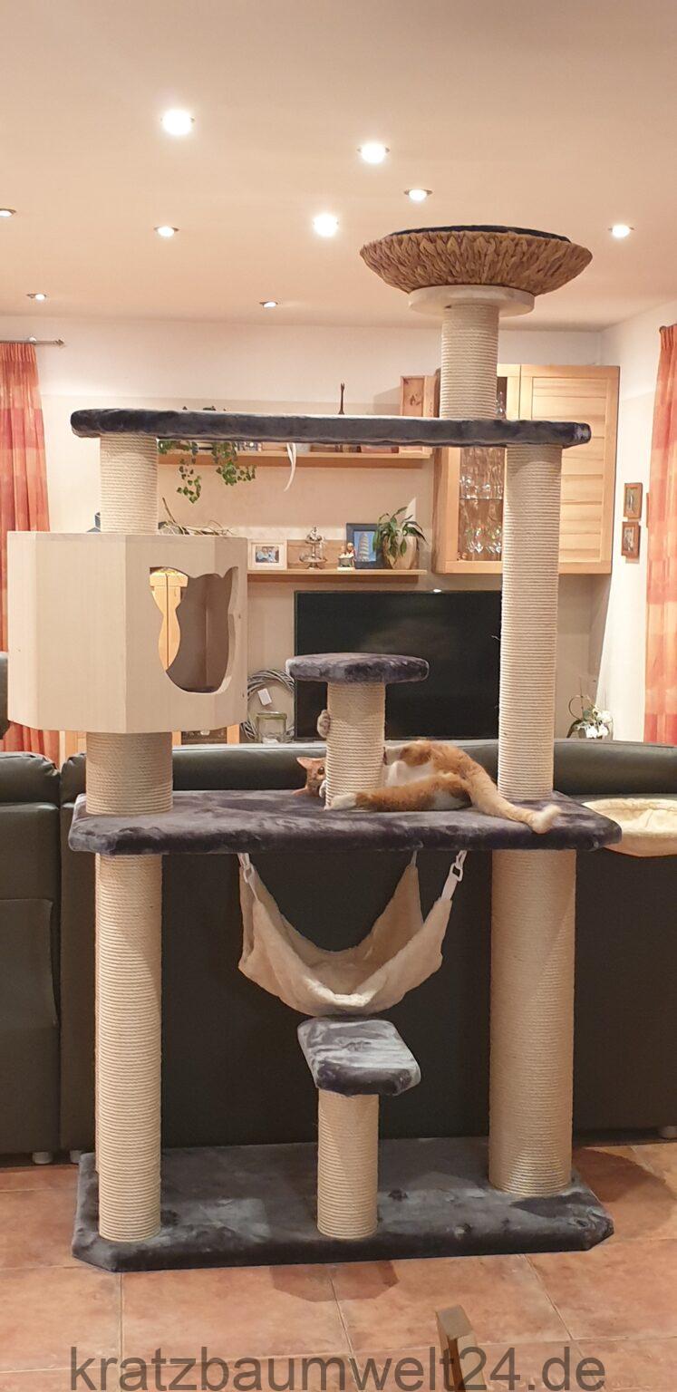Kratzbaum Für Katzen Aus Karton – Mit Spielzeug & Liegemulde | Umweltfreundlich & Stabil