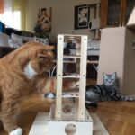Intelligenzbox für Katzen