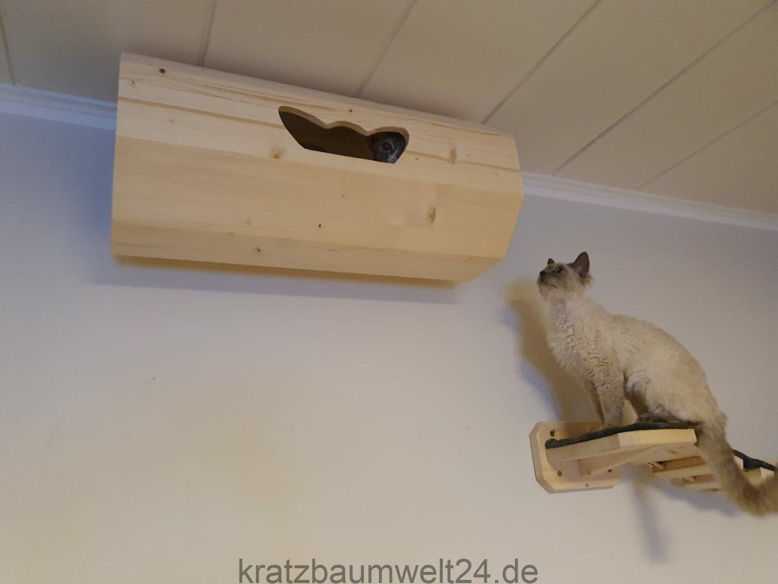 Katzentunnel aus Holz, individuelle Katzenmöbel, Stufe für Katzen ... - Katzentunnel Aus Holz InDiviDuelle Katzenmoebel Stufe Fuer Katzen Catwalk Systeme Fuer Katzen Deutscher Hersteller 1536x1152 Katzentunnel aus Holz, individuelle Katzenmöbel, Stufe für Katzen ... - Katzentunnel Aus Holz InDiviDuelle Katzenmoebel Stufe Fuer Katzen Catwalk Systeme Fuer Katzen Deutscher Hersteller 1536x1152