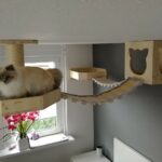 Kletterparadies für Katzen