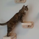Kletterstufen für Katzen