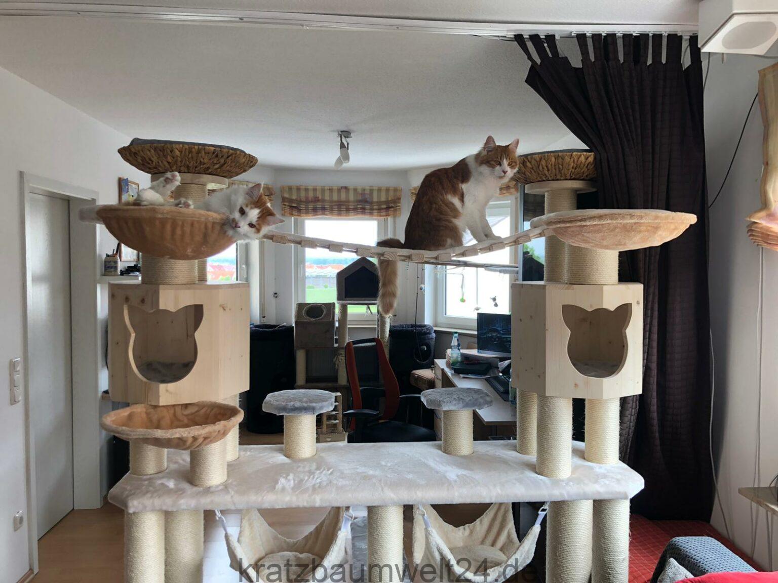 QLS Kratzbaum XXL 255 Cm Fr Katzen  Mit Haus, Tunnel, Hngematten &  Sisalstmmen Stabil & Kippsicher QLS Katzen Spielbaum