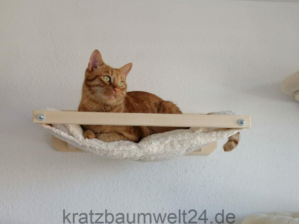 Kuschelbett für Katzen mit Wandmontage, Kratzbaumwelt24, Hängematte mit ... - Kuschelbett Fuer Katzen Mit WanDmontage Kratzbaumwelt24 Haengematte Mit Holzhalter Fuer Katzen InDiviDuelle Katzenmoebel Stabil 1024x768 Kuschelbett für Katzen mit Wandmontage, Kratzbaumwelt24, Hängematte mit ... - Kuschelbett Fuer Katzen Mit WanDmontage Kratzbaumwelt24 Haengematte Mit Holzhalter Fuer Katzen InDiviDuelle Katzenmoebel Stabil 1024x768