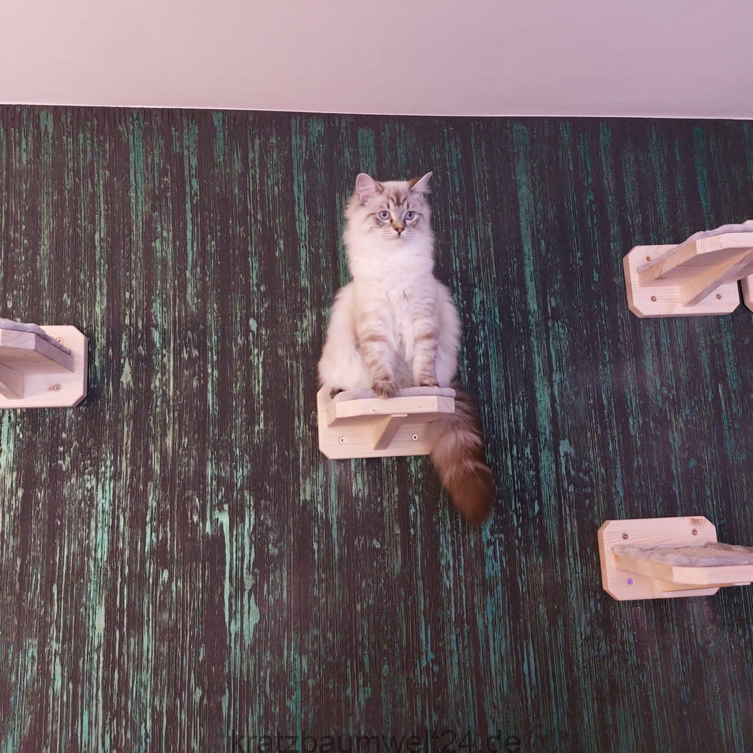 Aufstiegstreppe für Katzen