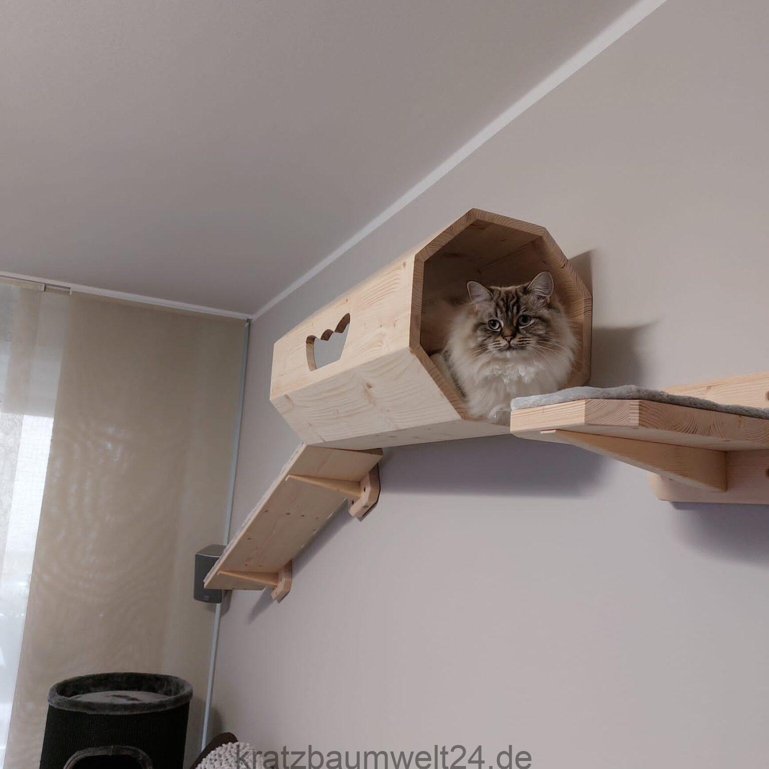 Katzentunnel für große Katzen