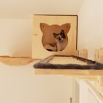 Catwalk Laufsteg