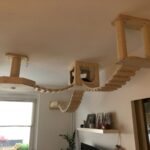 Deckensystem für Katzen