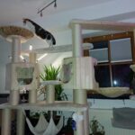 Exklusive Katzenmöbel