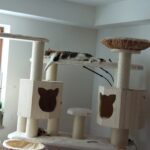 Exklusive Katzenmöbel