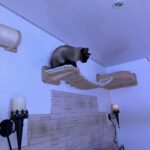 Hängebrücke für Katzen
